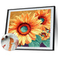 Paint By Number - Oil Painting - Sunflower (40*50cm) C
