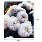 Flowers Canvas Acrylic Color Drawing Wall Art Living Room Home Decor