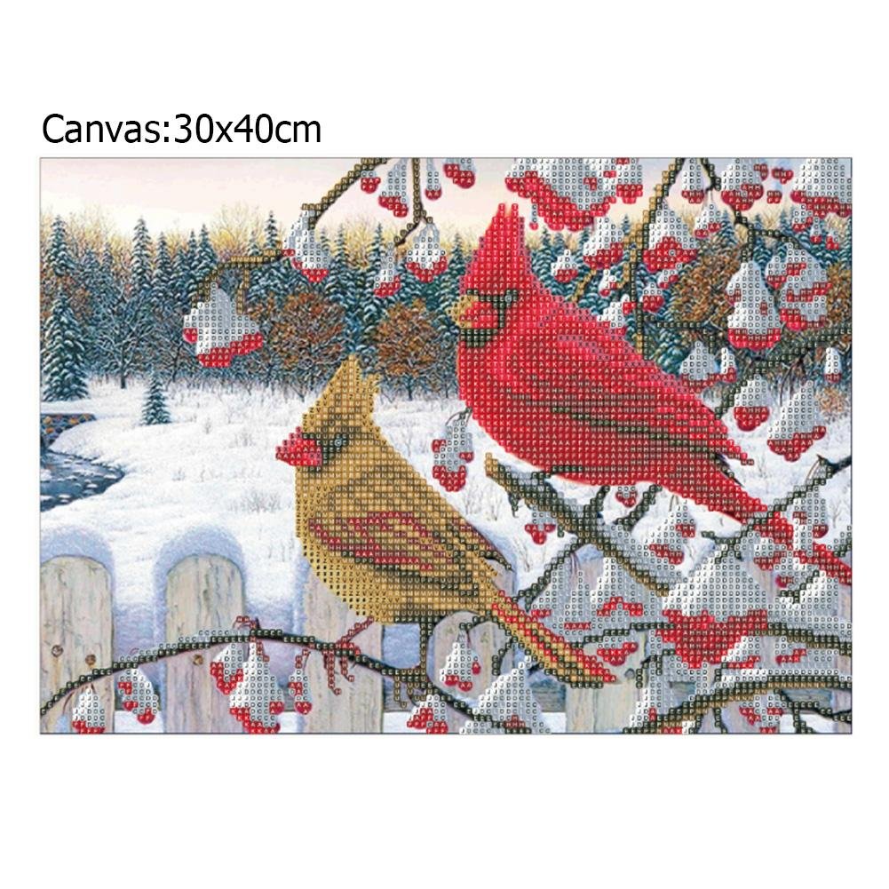 Diamond Painting - Partial Round - Snow Birds