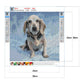 Diamond Painting - Full Round - Dog 10