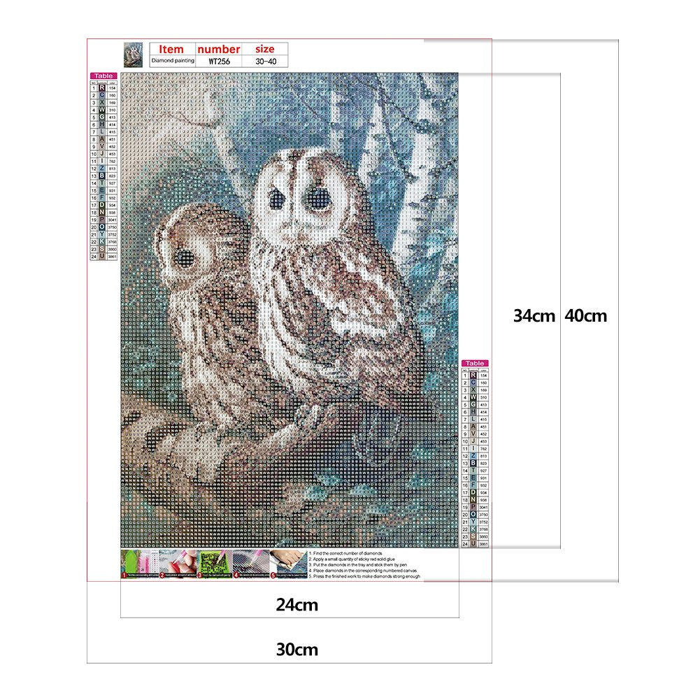 Diamond Painting - Full Round - Owl 3