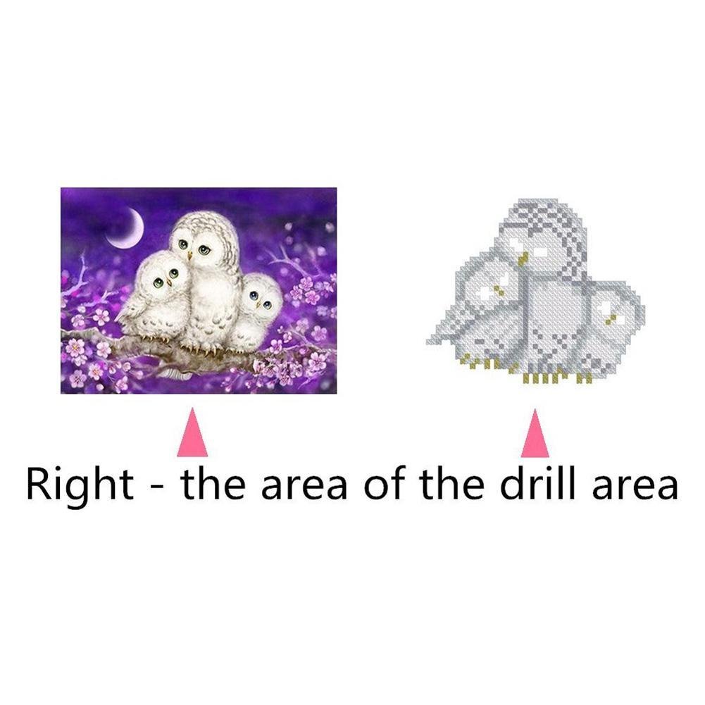 Diamond Painting - Partial Round - White Eagle Family
