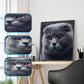 5D DIY Diamond Painting Kit - Full Square - Grey Cat