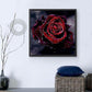 Diamond Painting - Partial Round - Red Rose