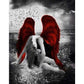 5D DIY Diamond Painting Kit Full Round Drill Angel And Demon