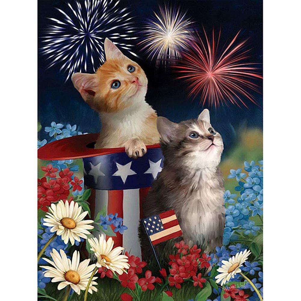 5D DIY Diamond Painting Kit Full Round Drill Cats & Firework