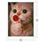 11ct Stamped Cross Stitch - Cat (40*48cm)