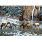 Horse Animal Oil Painting By Numbers Canvas Hand Painted Art Picture