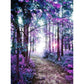 Purple Grove Hand Painted Canvas Oil Art Picture Craft Home Wall Decor