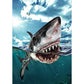5D Diy Diamond Painting Kit Full Round Beads Swimming Shark