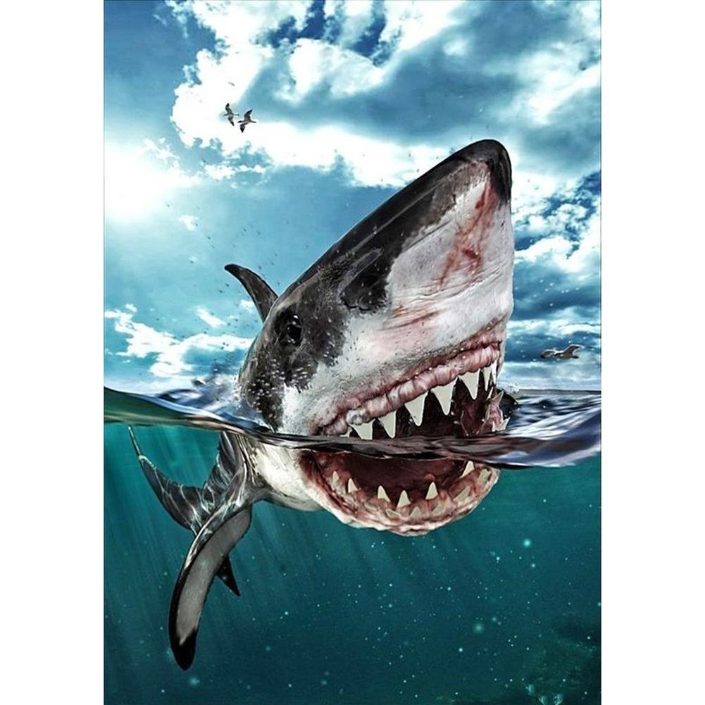 5D Diy Diamond Painting Kit Full Round Beads Swimming Shark