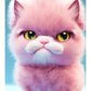 Full Round/Square Diamond Painting Kits | Cat 50x70cm 60x80cm A