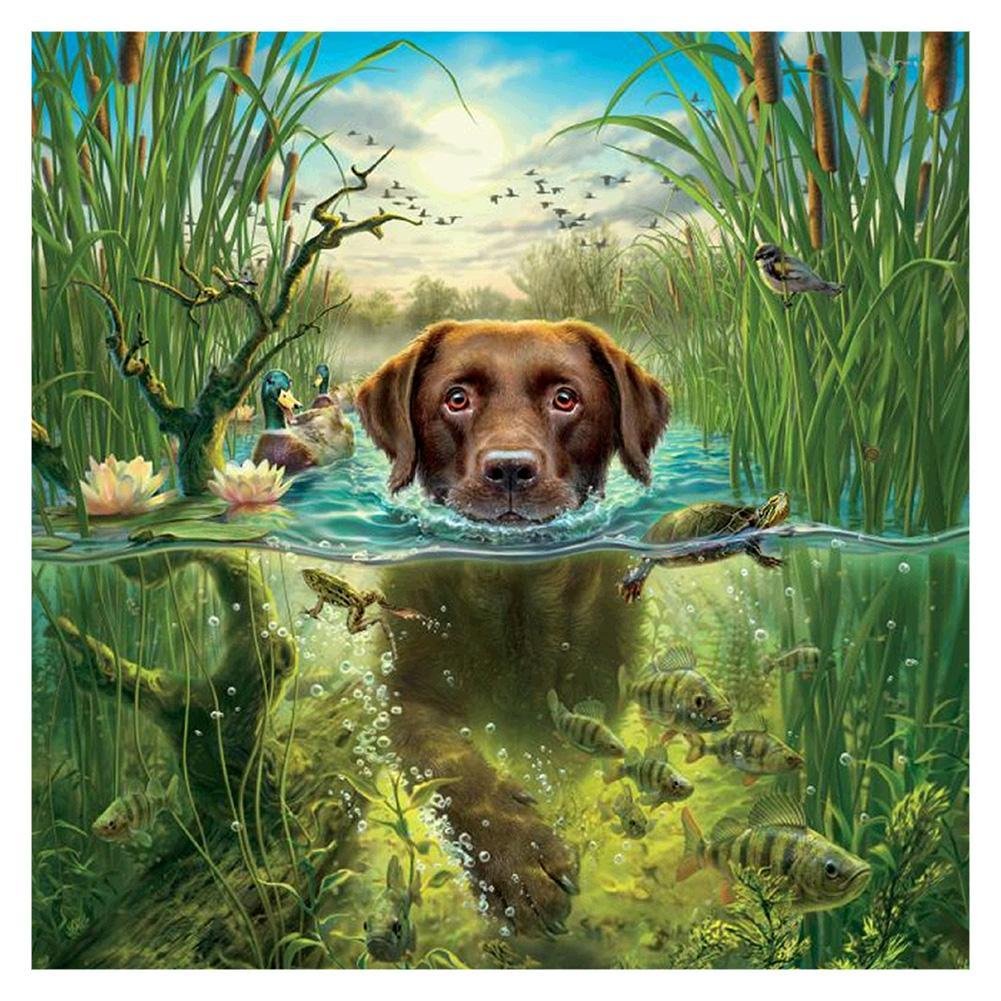 5D Diy Diamond Painting Kit Full Round Beads Swimming Dog