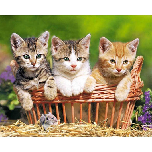 5D DIY Diamond Painting Kit Full Round Drill Three Lovely Cats/Kittens