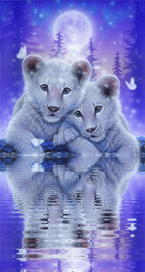 Tiger | Full Round/Square Diamond Painting Kits 40x80cm 50x100cm
