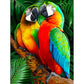 5D Diy Diamond Painting Kit Full Round Beads Colorful Parrots