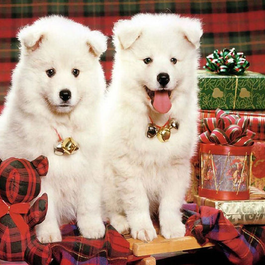 Diamond Painting  -Full Round - Dogs