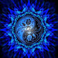 5D Diy Diamond Painting Kit Full Round Beads Blue Rose YinYang