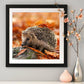Diamond Painting - Full Round - Hedgehog C