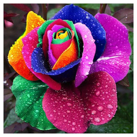 Diamond Painting Partial Round Colorful Rose