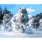 Paint By Number Oil Painting Wolf (40*50cm)
