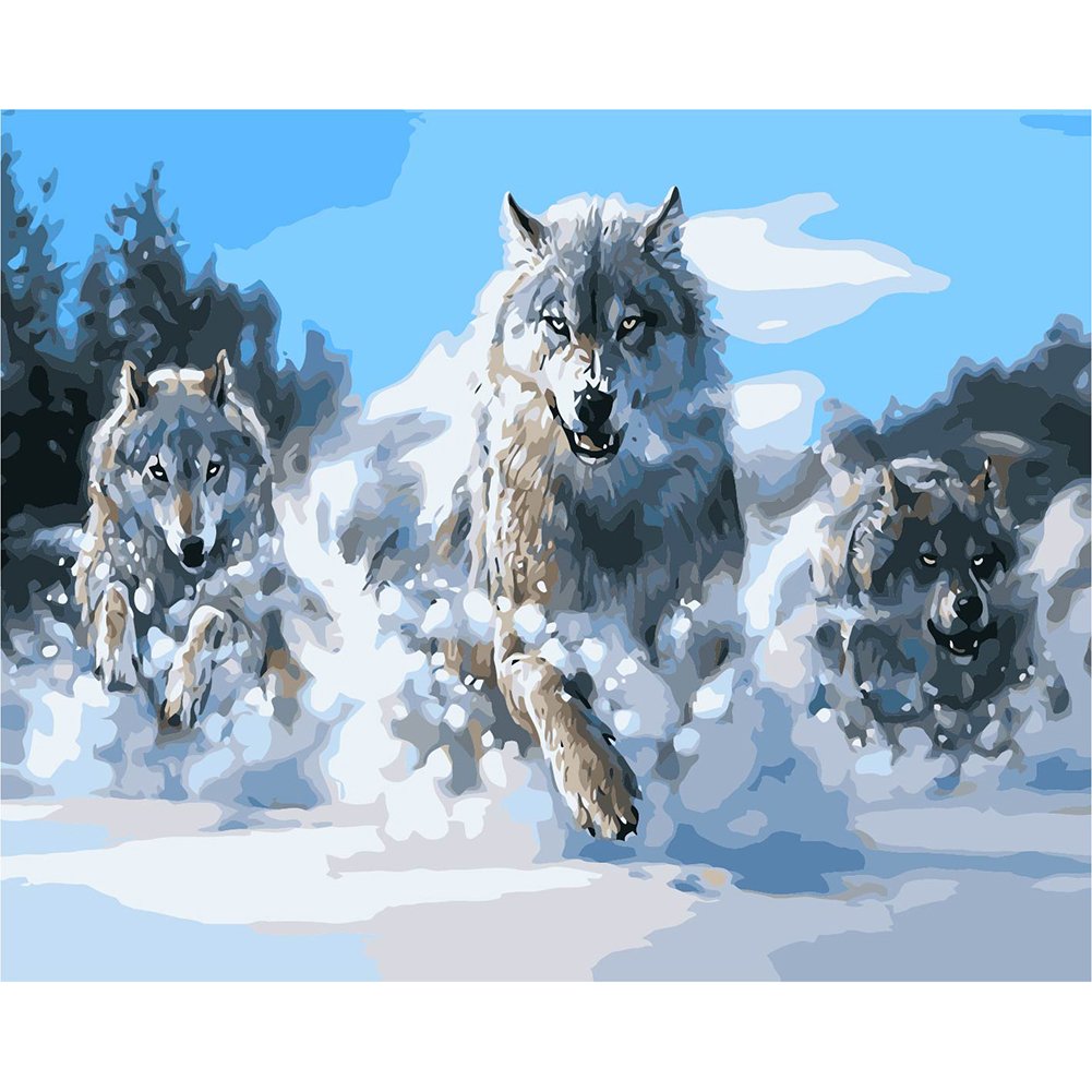 Paint By Number Oil Painting Wolf (40*50cm)