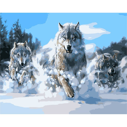 Paint By Number Oil Painting Wolf (40*50cm)