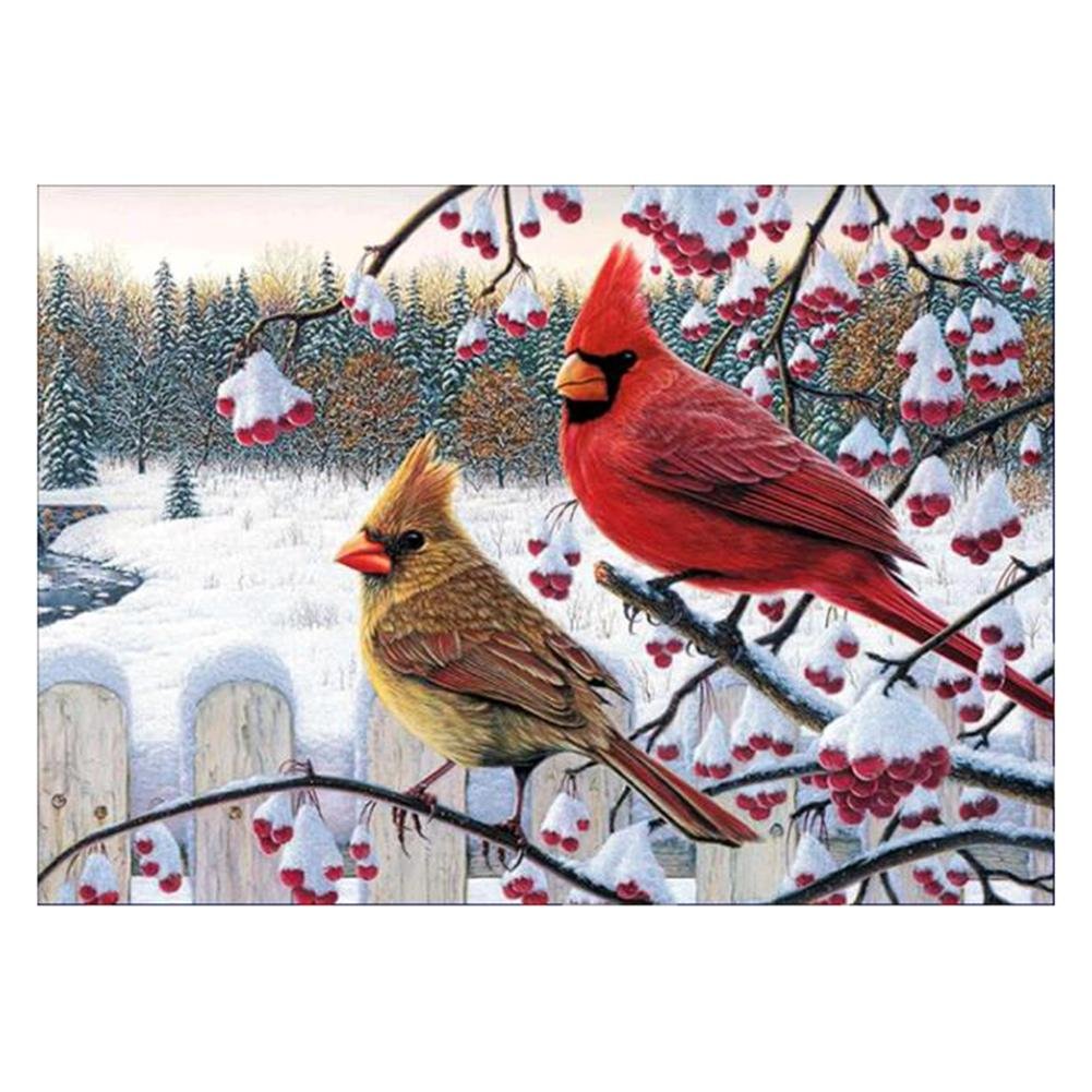 Diamond Painting Partial Round Snow Birds