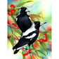 5D Diy Diamond Painting Kit Full Round Beads Black Bird