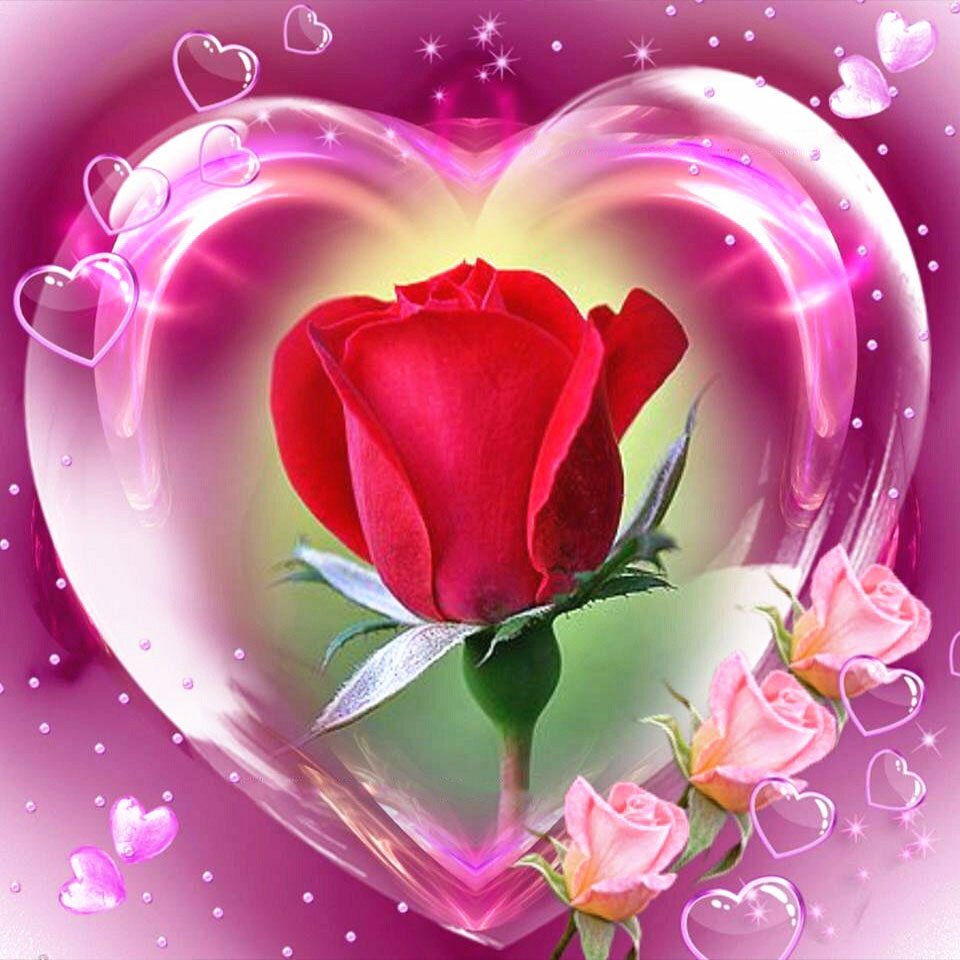 Diamond Paintings Art Full Drill Rose Heart