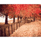 Painting By Numbers kit Digital Oil Art Picture Autumn Path