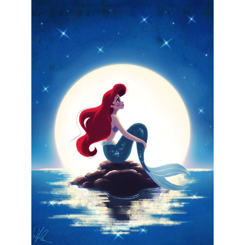 Diamond Painting Artcraft Mermaid under starry sky