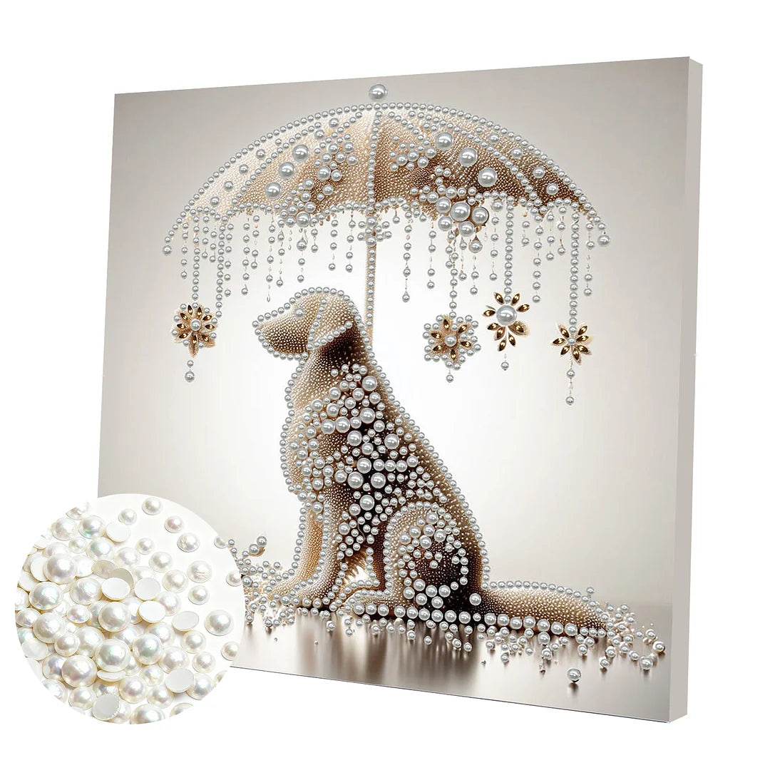 DIY Pearl Painting With Frame - Handmade Self-Adhesive Pearls - Lady (30*30cm) J