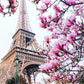 Diamond Paintings Art Eiffel Tower with flowers