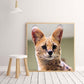 Diamond Painting - Full Round - Cat E