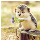 5D Diy Diamond Painting Kit Full Round Beads Cute Hedgehog