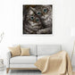 Diamond Painting - Full Round - Rainy Cats