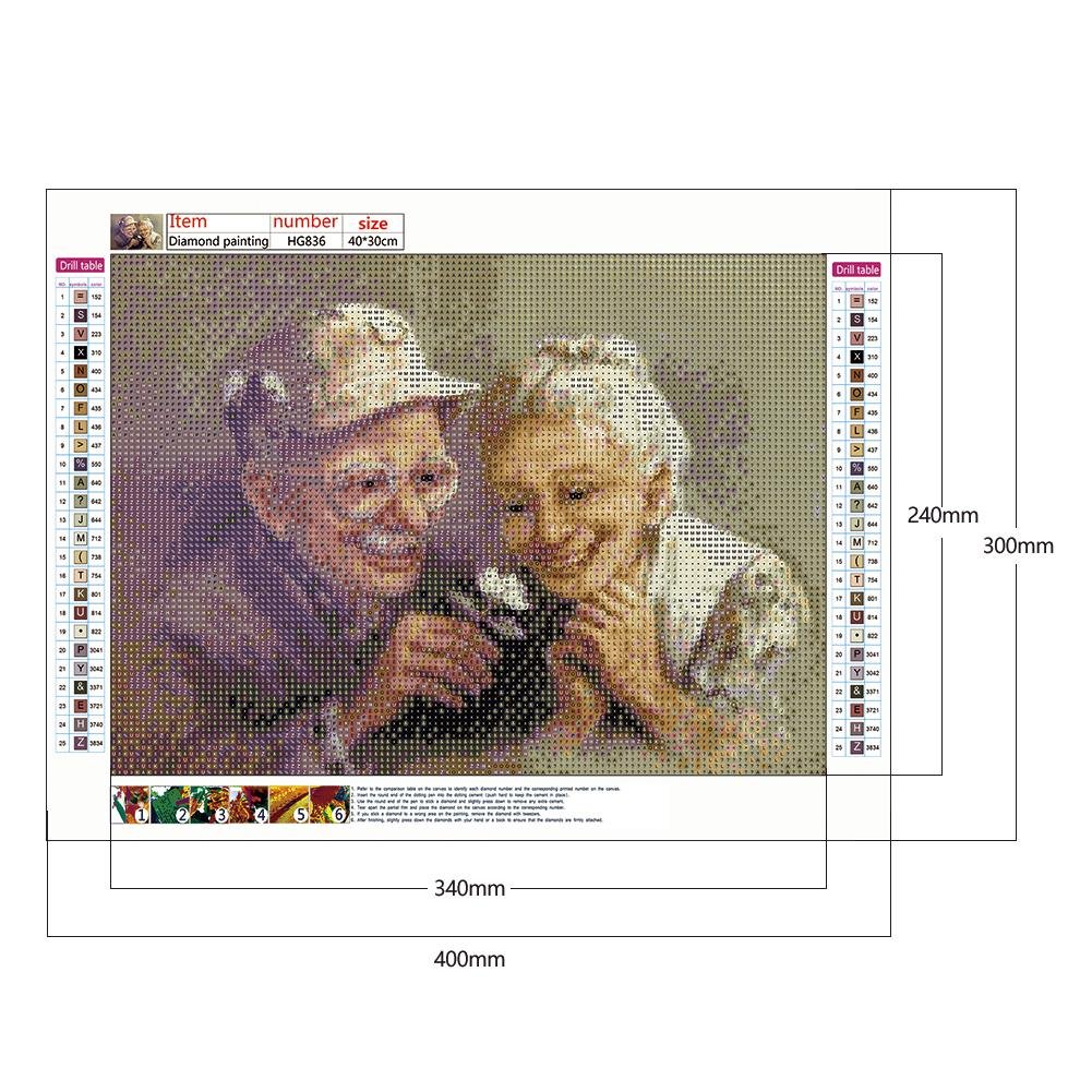Diamond Painting - Full Round - Romantic Old Couple