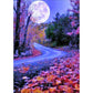 11ct Stamped Cross Stitch Country Night (36*46cm)