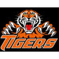 5D Diy Diamond Painting Kit Full Round Beads Tiger Logo