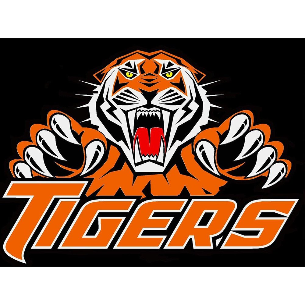 5D Diy Diamond Painting Kit Full Round Beads Tiger Logo