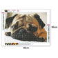 Diamond Painting - Full Round - Dog 20