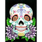 Diamond Paintings Art Full Drill Skull Head