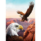 5D Diy Diamond Painting Kit Full Round Beads Eagle