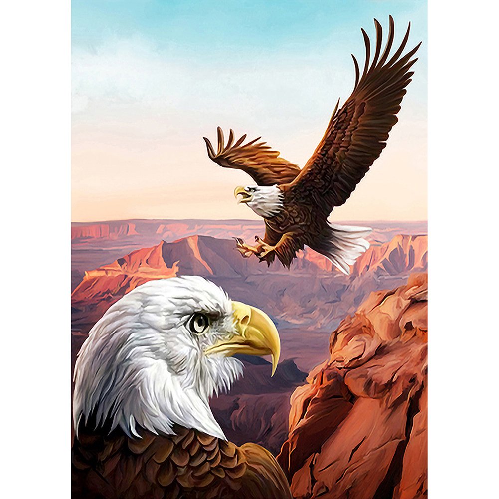 5D Diy Diamond Painting Kit Full Round Beads Eagle