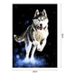 Paint By Number - Oil Painting - Wolf (40*50cm) G