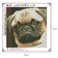 Diamond Painting - Full Round - Cute Dog D