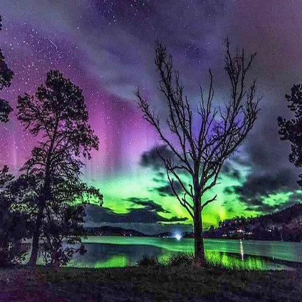 Tree Aurora Full Round Square Diamond Painting Kits