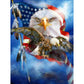 Diamond Paintings Art Full Drill US Flag Eagle