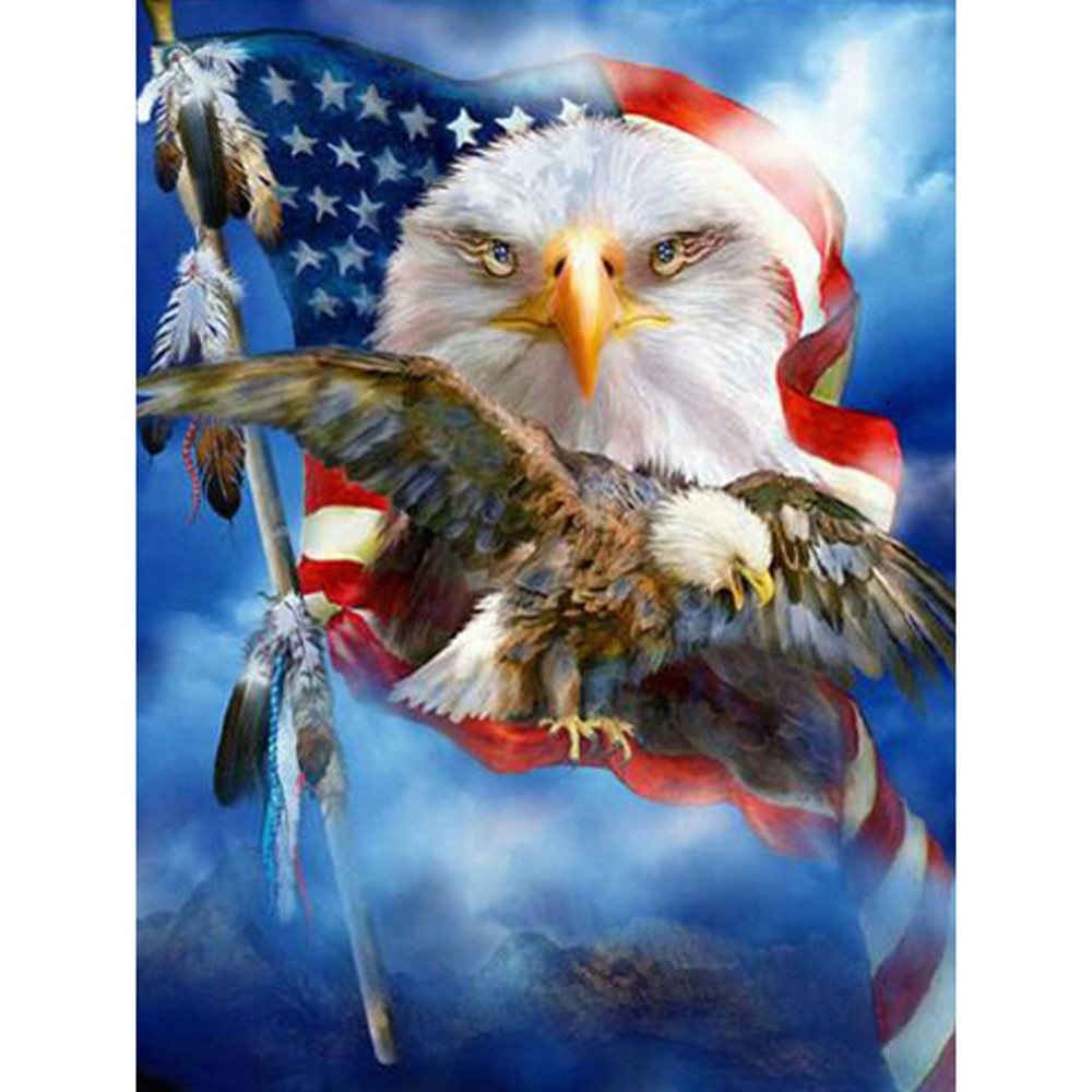 Diamond Paintings Art Full Drill US Flag Eagle